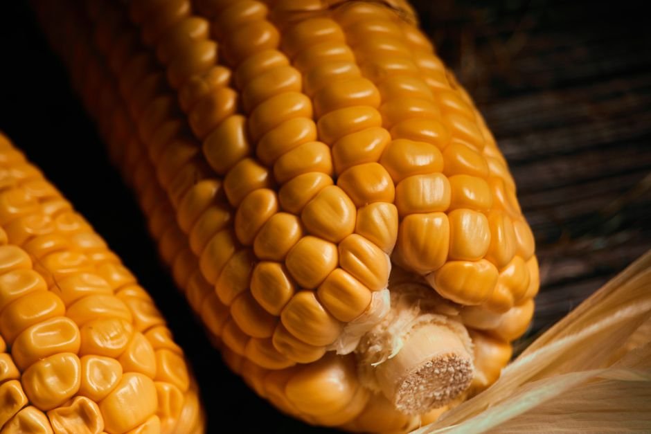 Maize and corn